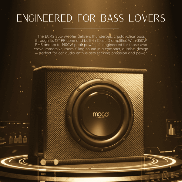 12-enclosure-sub-woofer