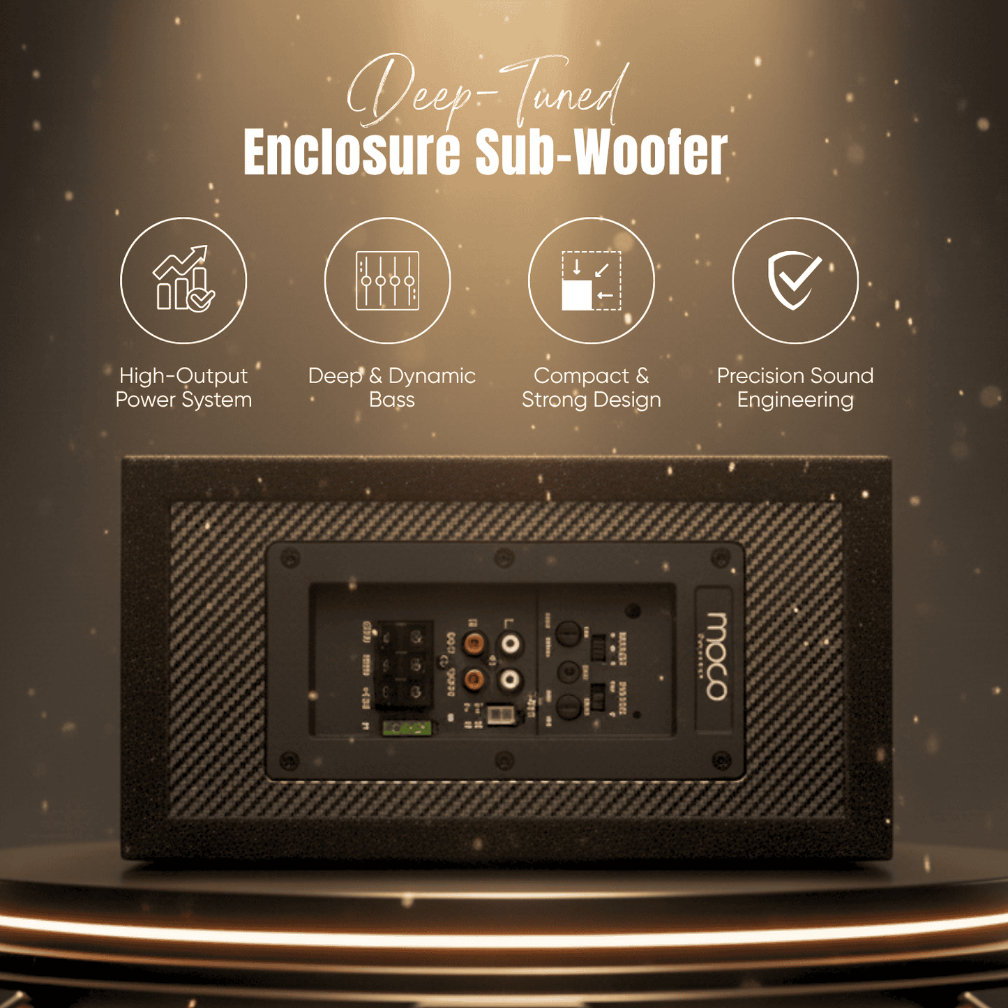 12" Enclosure Sub-Woofer