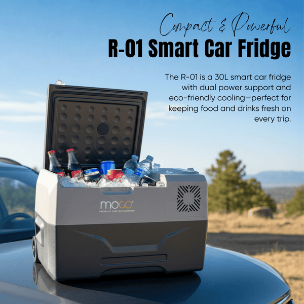 30l-smart-car-fridge