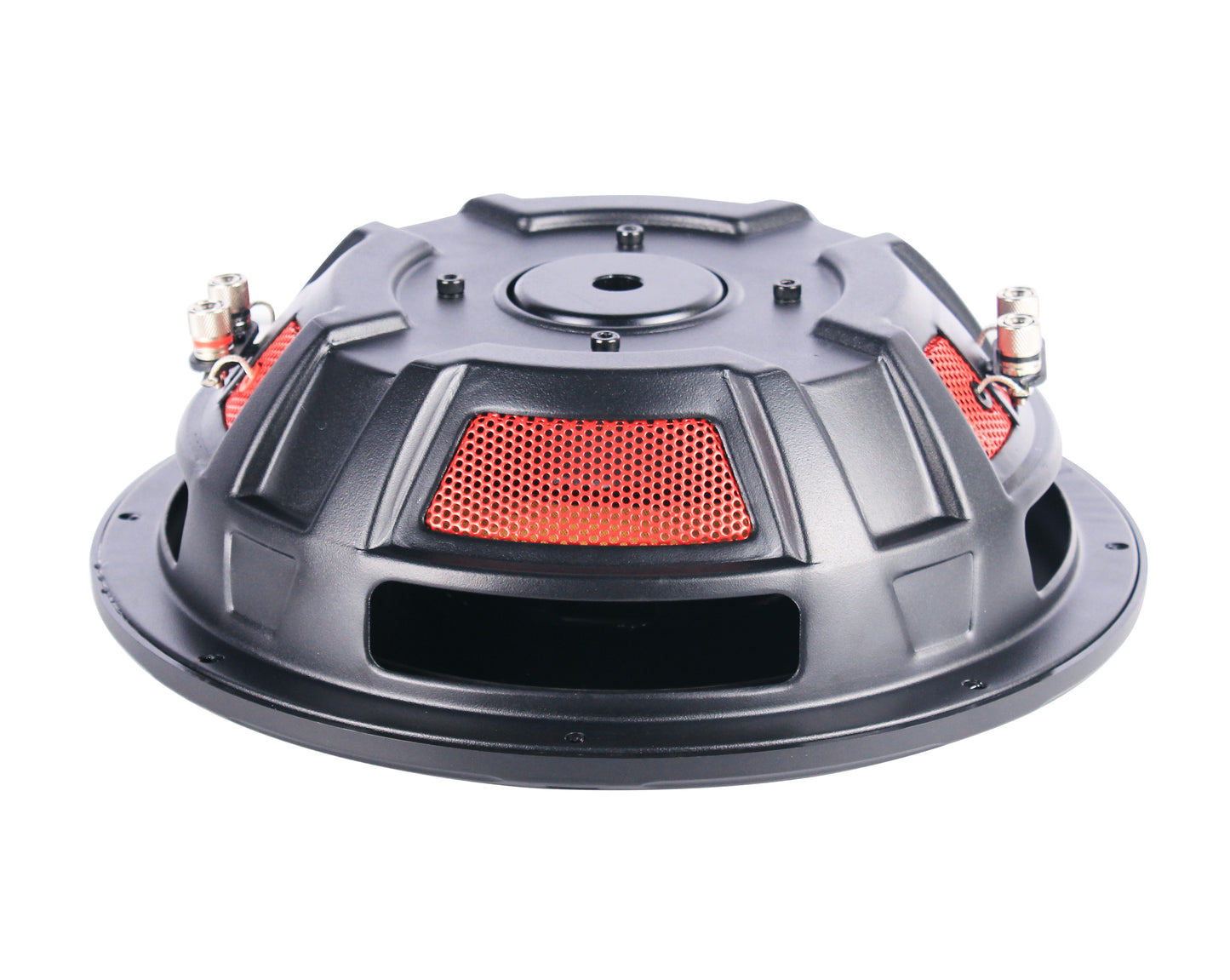 12" Subwoofer with RMS 300W