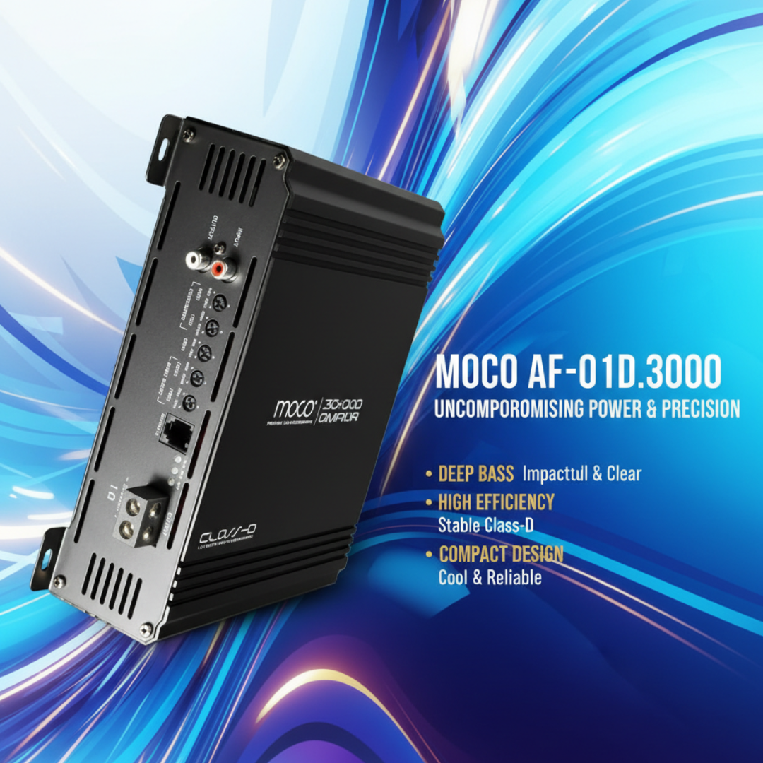 3000W RMS MONO Amplifier