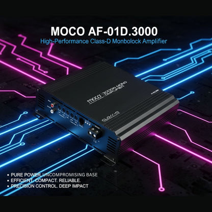 3000W RMS MONO Amplifier