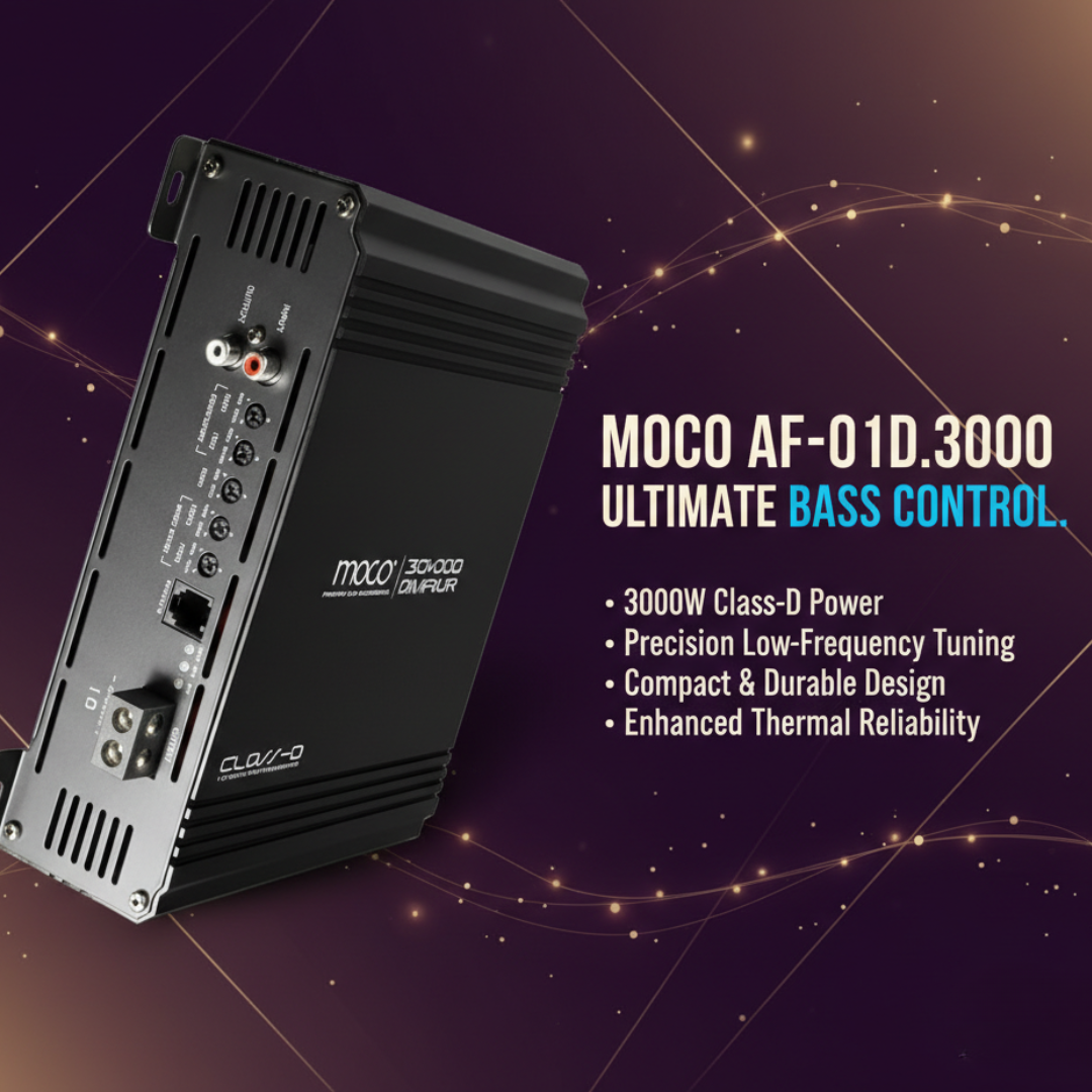 3000W RMS MONO Amplifier