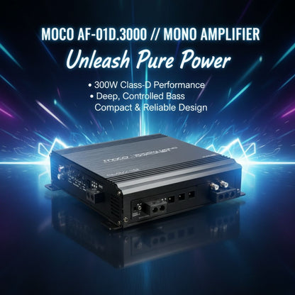 3000W RMS MONO Amplifier