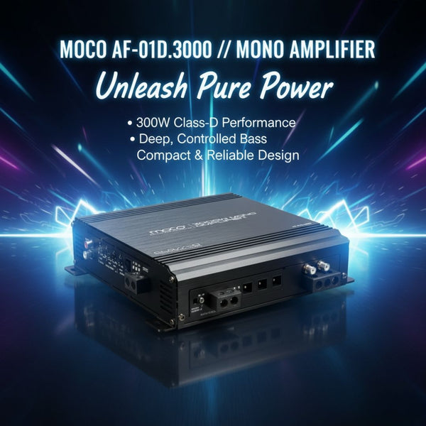 3000w-rms-mono-amplifier