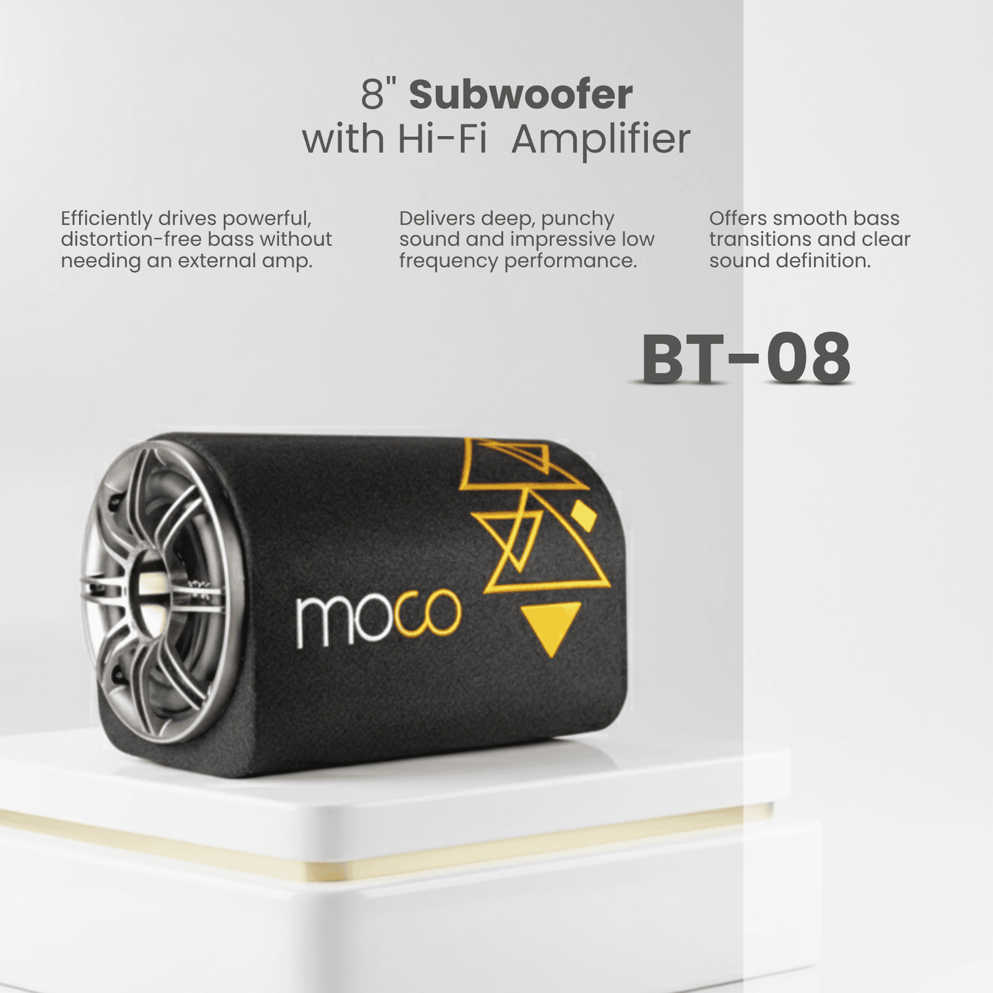 8" Subwoofer with Hi-Fi  Amplifier