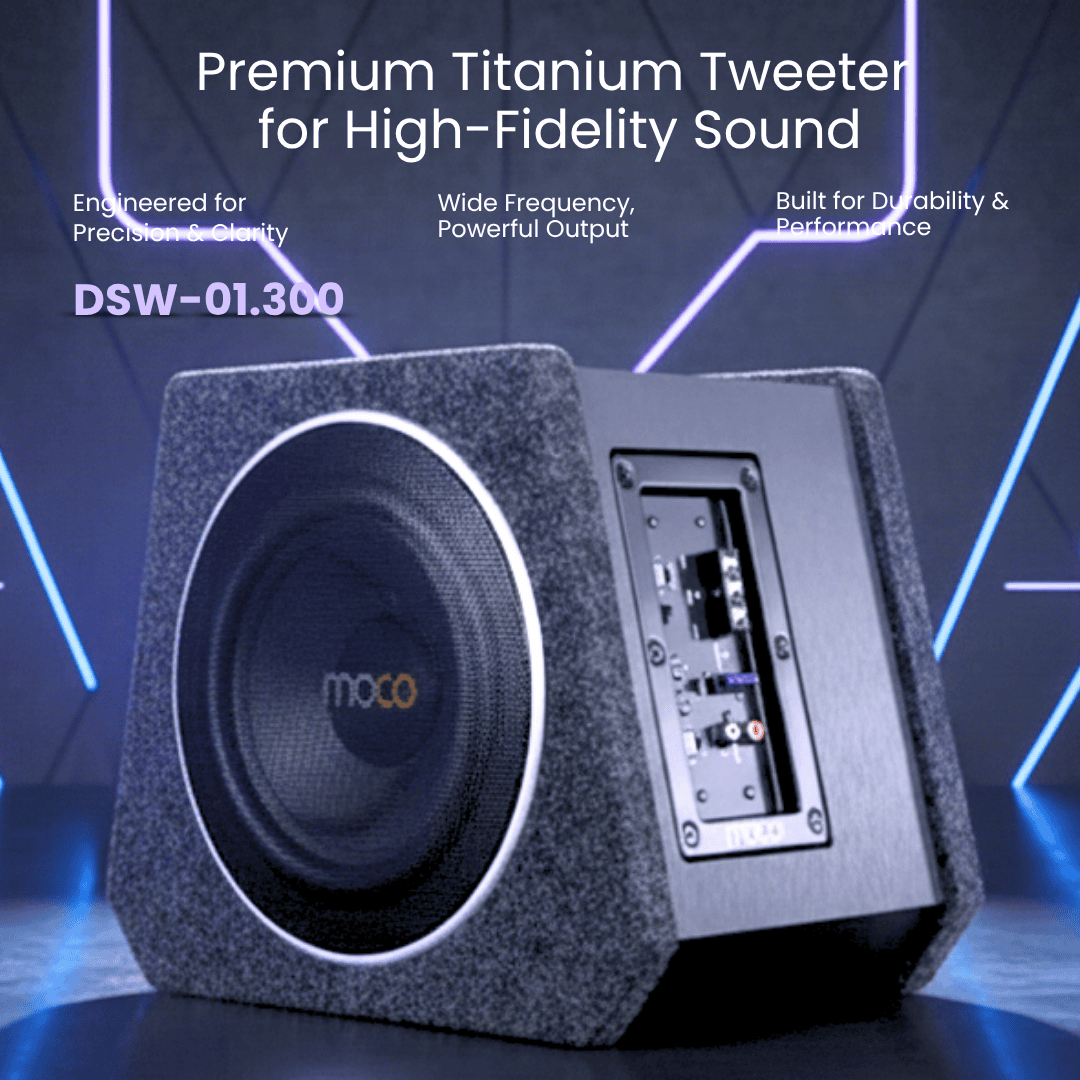 8" Dual SubWoofer with Hi-Fi Amplifier RMS 300W