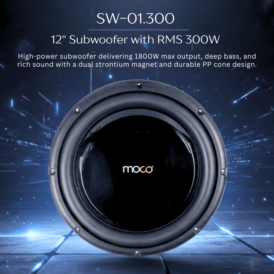12" Subwoofer with RMS 300W