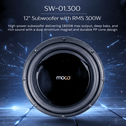 12" Subwoofer with RMS 300W