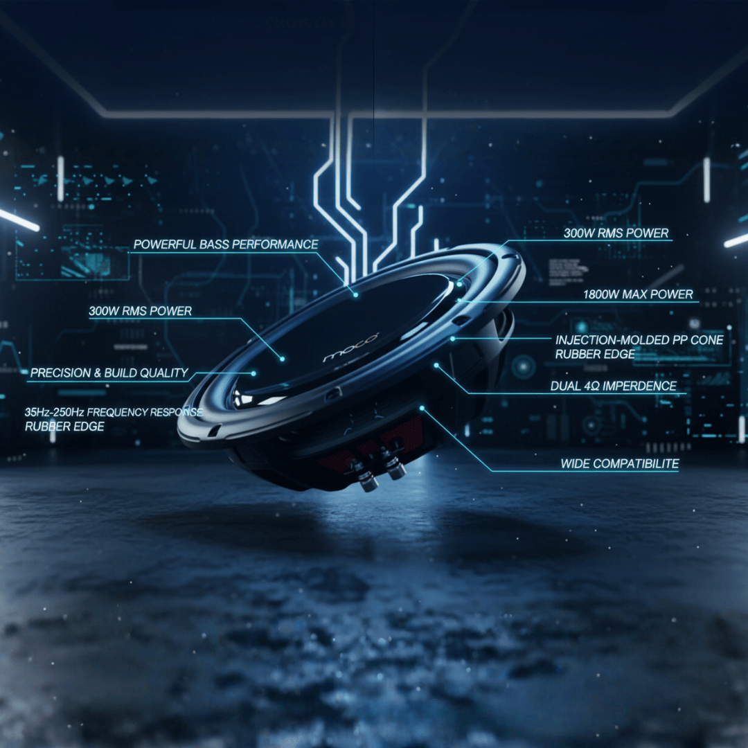 12" Subwoofer with RMS 300W