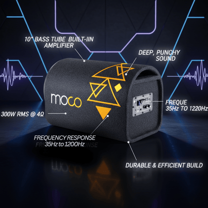 10" Subwoofer with Hi-Fi Amplifier