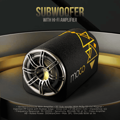 10" Subwoofer with Hi-Fi Amplifier