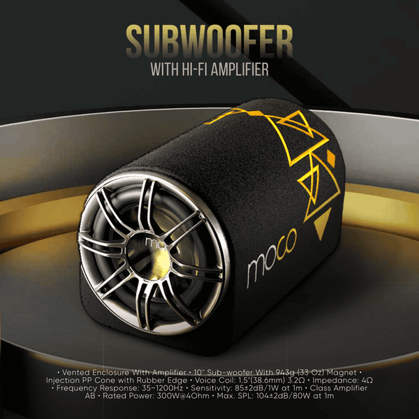 10-subwoofer-with-hi-fi-amplifier